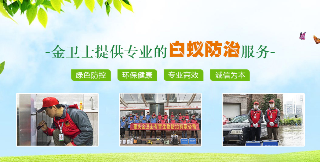 丑陋的蟑螂看起來很可怕。如何解決這種情況？